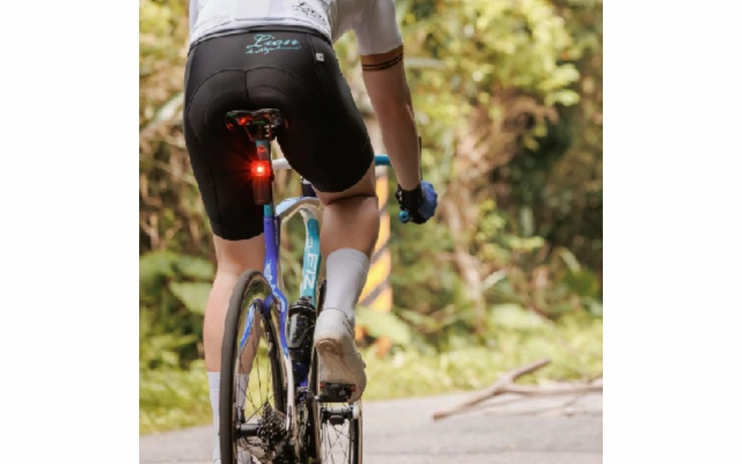 Feux Arrière BRYTON Radar Gardia R300 6 Feux Arrière BRYTON Radar Gardia R300 – Image 4